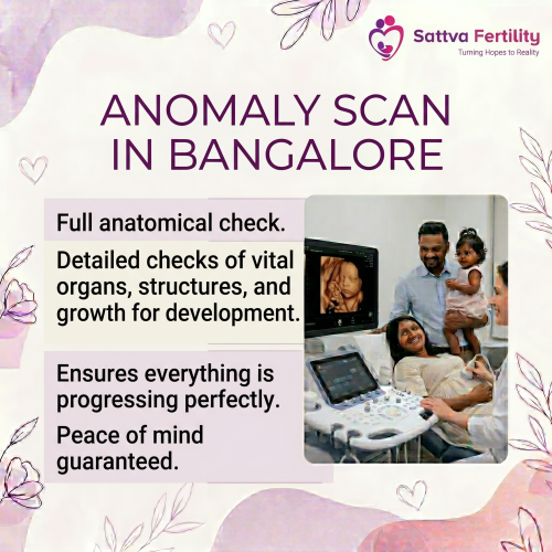 Anomaly Scan in Bangalore